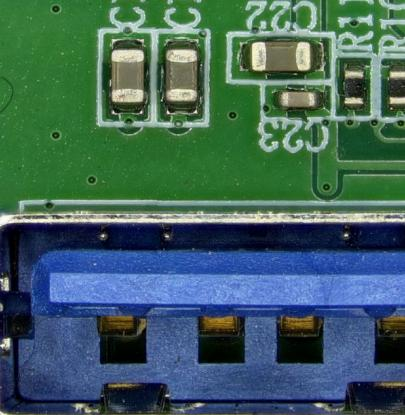 photo after Focus Stacking